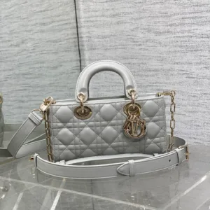 Dior bag design 19