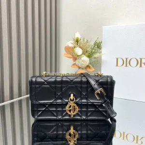 Dior bag design 168
