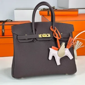 Hermes bag design 100