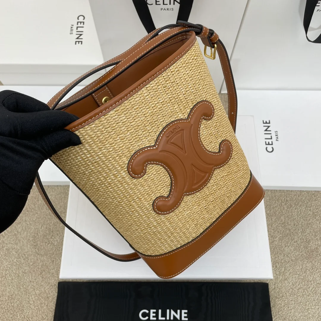 Celine bag design 103