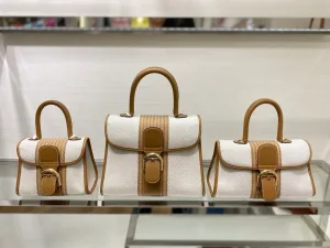 Delvaux bag design 6