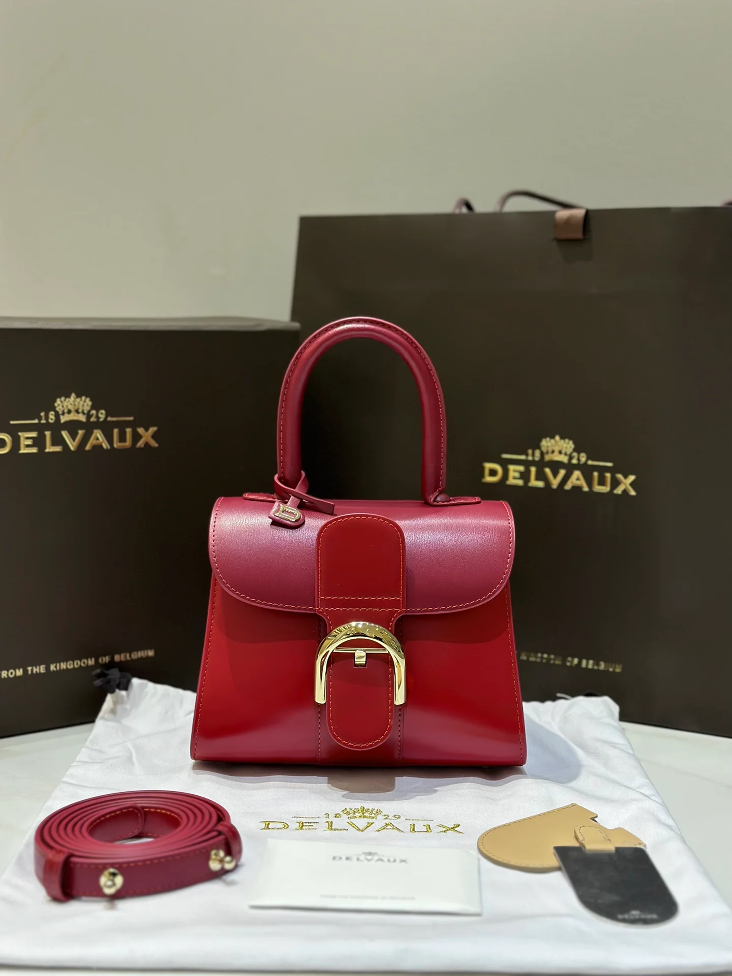 Delvaux bag design 10